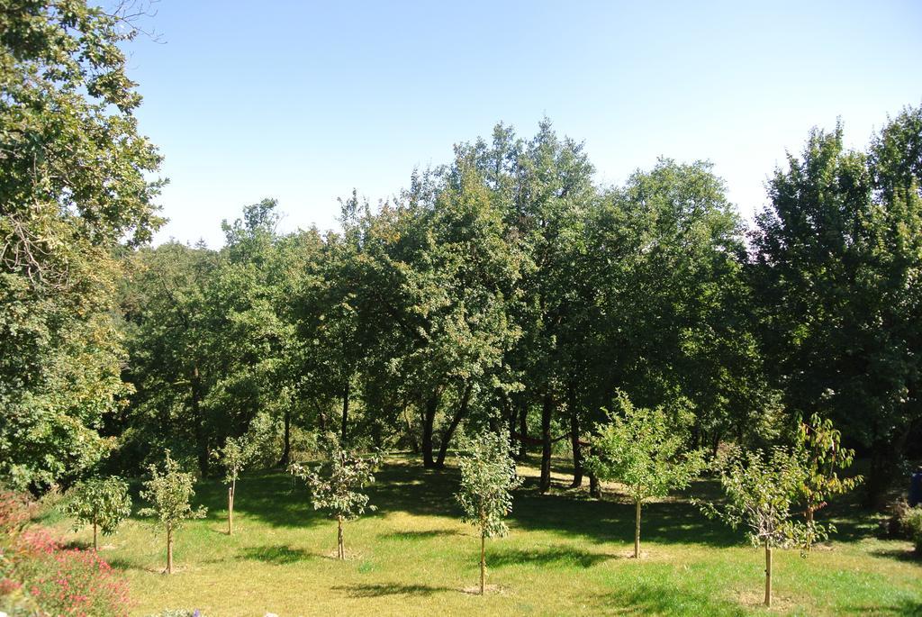 A L'Oree Du Bois Rillieux-la-Pape Pokój zdjęcie