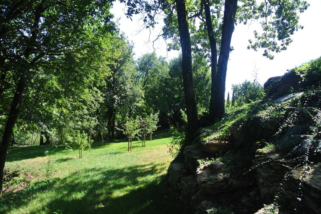 A L'Oree Du Bois Rillieux-la-Pape Pokój zdjęcie